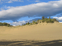 Dunes in the Yukon